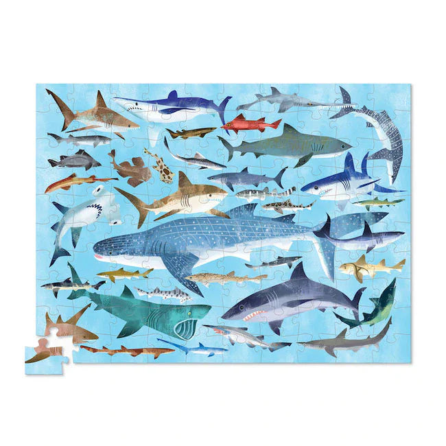Sharks -100 pc Puzzle 🦈