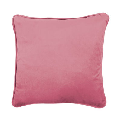 Cat Feline Fabulous Embroidered Cushion Cover