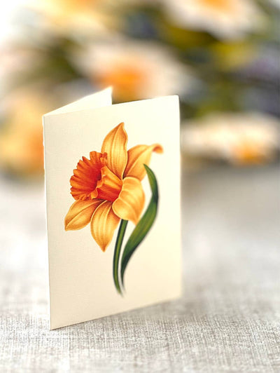 English Daffodils Pop - up Greeting Card - Lemon And Lavender Toronto