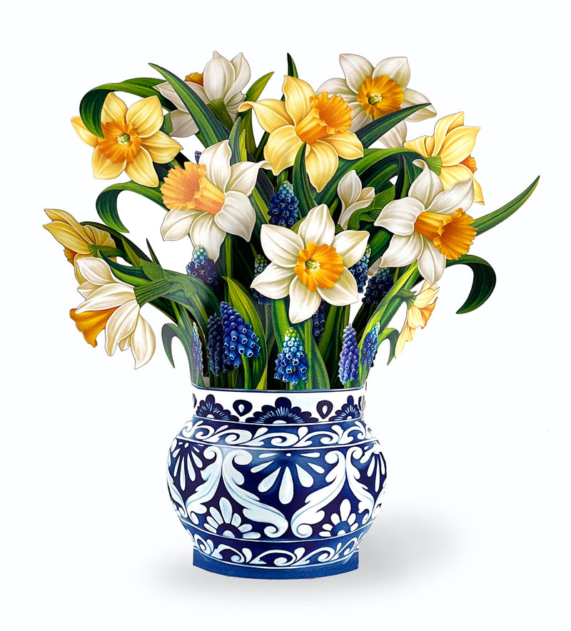 English Daffodils Pop - up Greeting Card - Lemon And Lavender Toronto