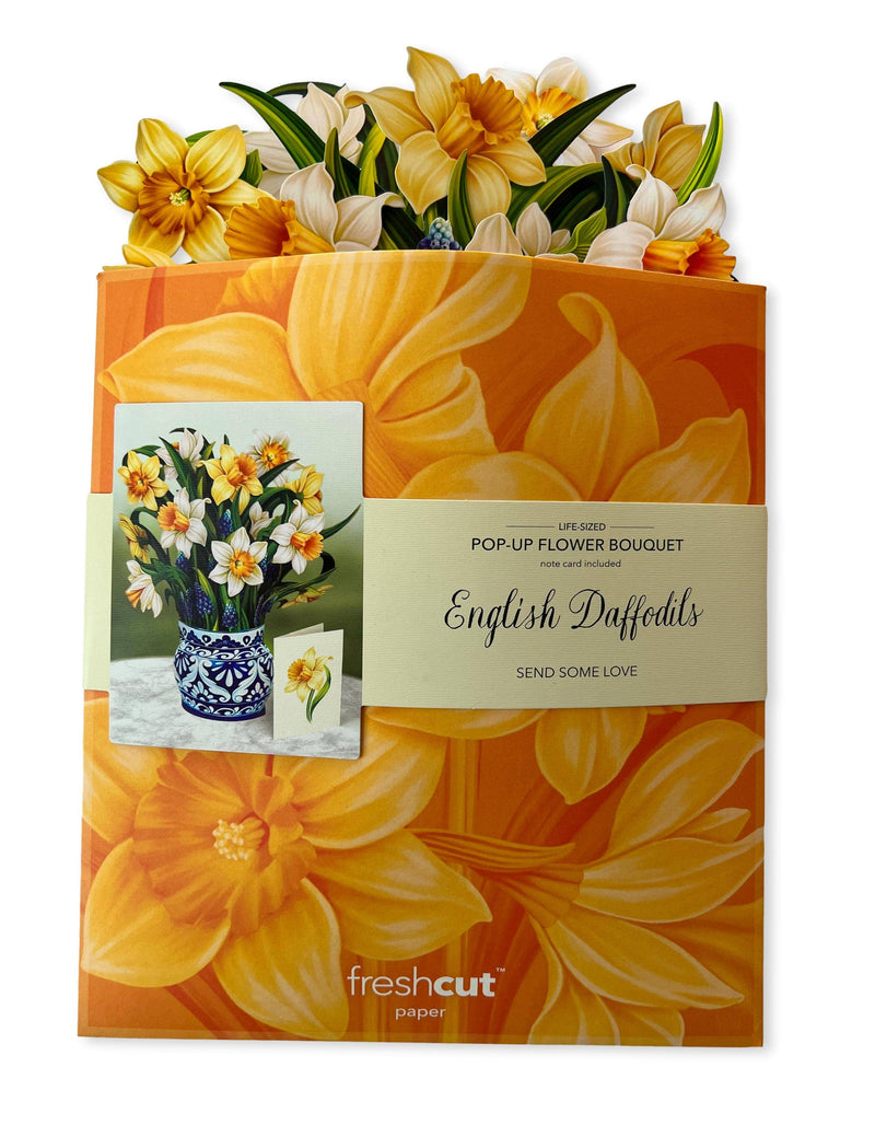 English Daffodils Pop - up Greeting Card - Lemon And Lavender Toronto