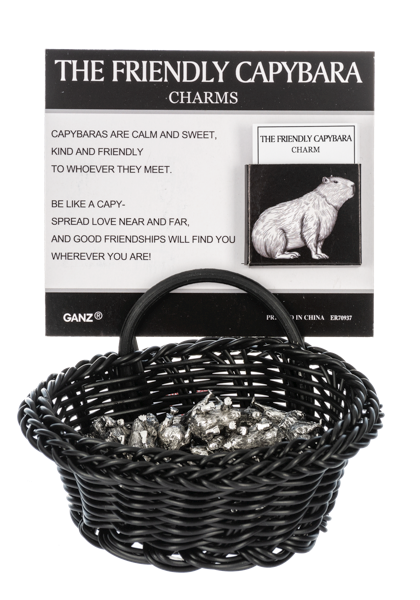 The Friendly Capybara Charm