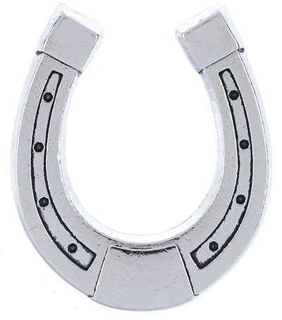The Lucky Little Horseshoe Charm