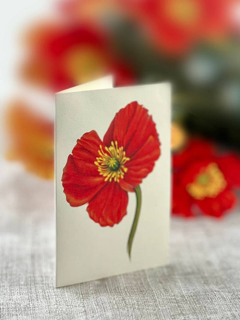 French Poppies Pop - up Greeting Card - Lemon And Lavender Toronto