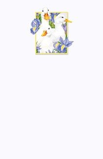 Garden Ducks Greeting Card - Lemon And Lavender Toronto