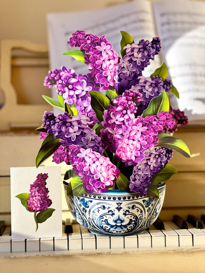 Garden Lilacs Pop - up Greeting Card - Lemon And Lavender Toronto