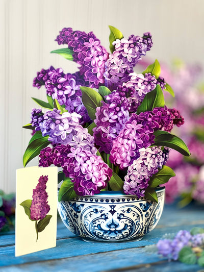 Garden Lilacs Pop - up Greeting Card - Lemon And Lavender Toronto