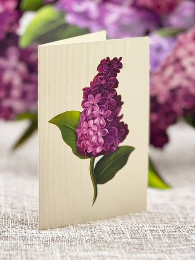 Garden Lilacs Pop - up Greeting Card - Lemon And Lavender Toronto