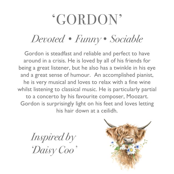 Highland Cow 🐮  - Large Gordon Plush