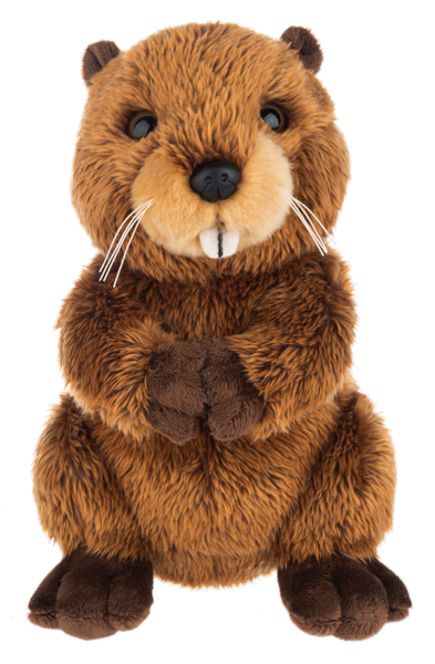 The Heritage Collection Beaver
