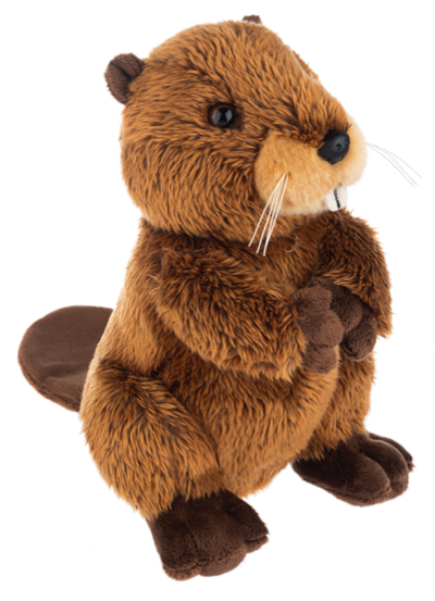 The Heritage Collection Beaver