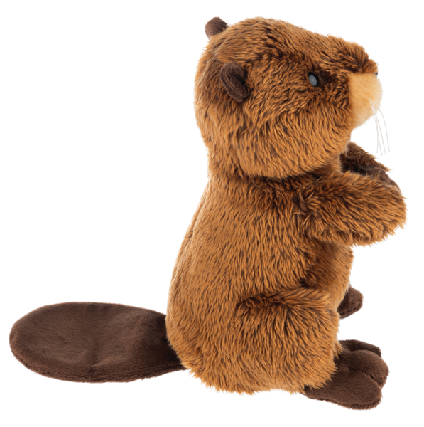 The Heritage Collection Beaver