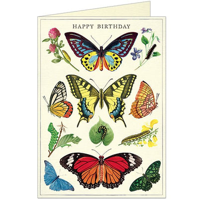 Happy Birthday Butterflies Greeting Card - Lemon And Lavender Toronto