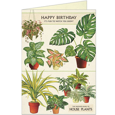 Happy Birthday House Plants Greeting Card - Lemon And Lavender Toronto