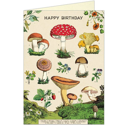 Happy Birthday Mushrooms Greeting Card - Lemon And Lavender Toronto