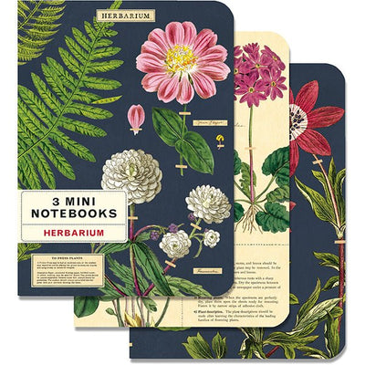 Herbarium - 3 Mini Notebooks Cavallini - Lemon And Lavender Toronto
