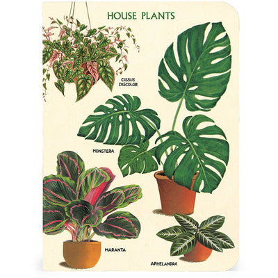 Houseplants Mini Notebooks - 3 Mini Notebooks Cavallini - Lemon And Lavender Toronto