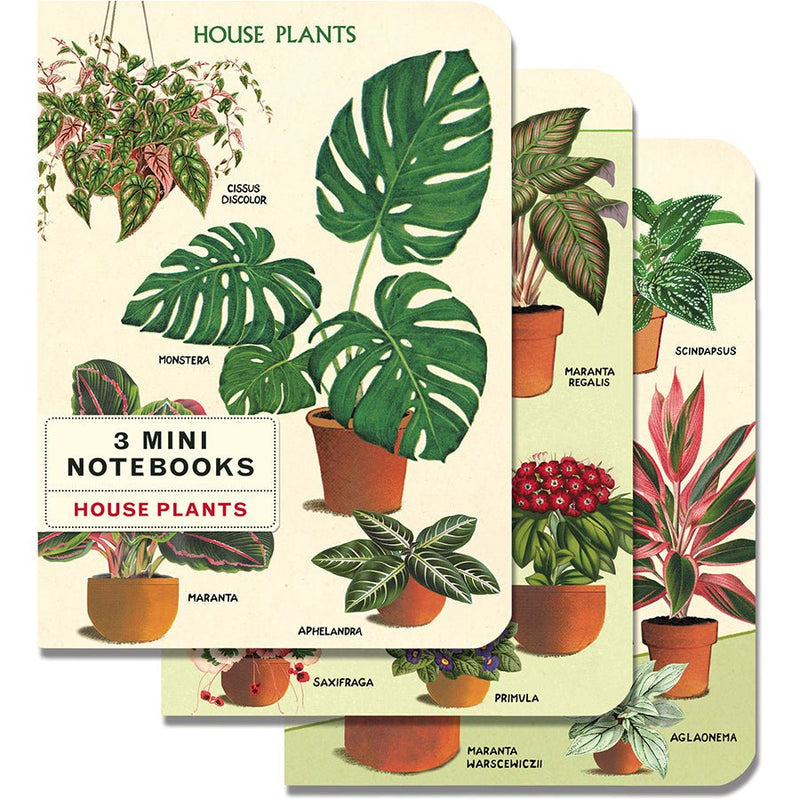 Houseplants Mini Notebooks - 3 Mini Notebooks Cavallini - Lemon And Lavender Toronto