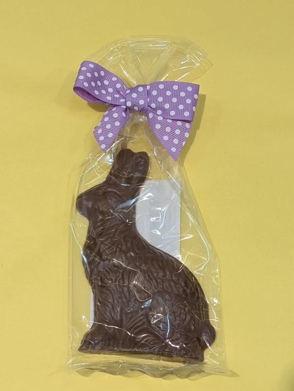 5" Milk Chocolate Traditional Bunny - 55 g