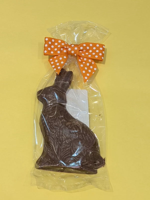 5" Milk Chocolate Traditional Bunny - 55 g