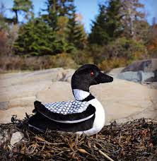 Ludwig Loon