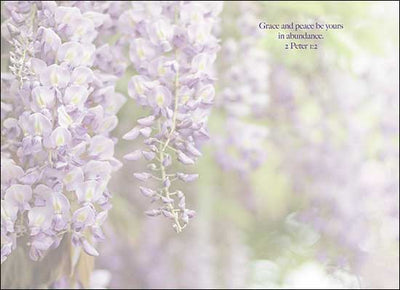In The Garden Of Grace Greeting Card Assortment Box - Lemon And Lavender Toronto