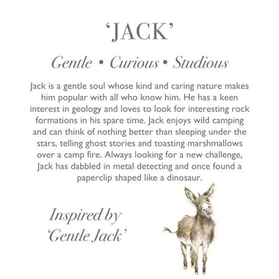'Jack Junior' Plush Character