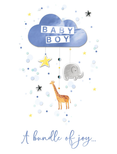 Jumbo Baby Boy Card - Lemon And Lavender Toronto