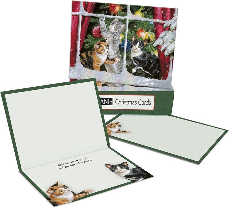 Kitten Boxed Christmas Cards - Lemon And Lavender Toronto