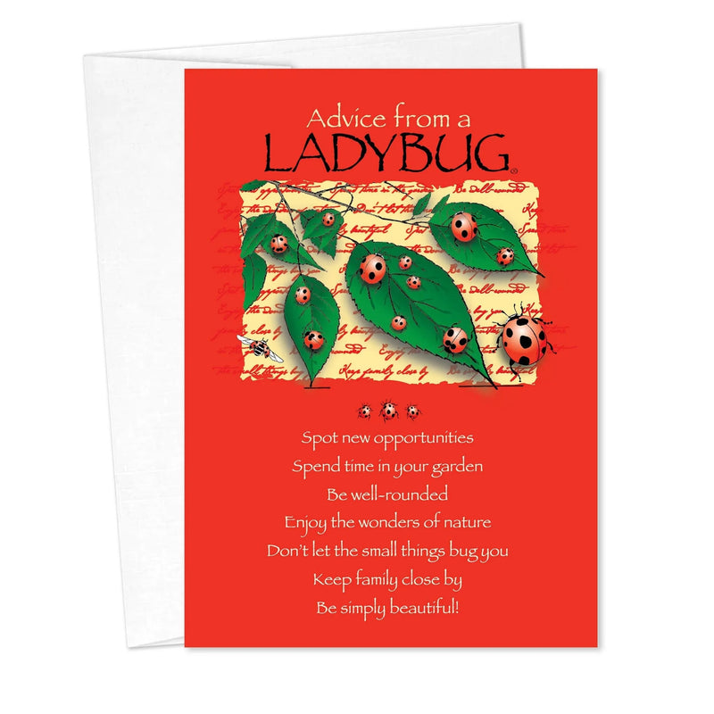 Ladybug Advice Card - Lemon And Lavender Toronto