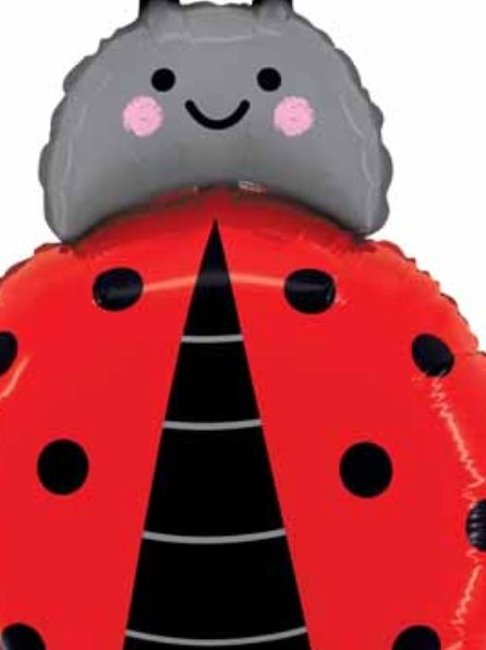 Ladybug 🐞 Mini Shape Balloon - Lemon And Lavender Toronto