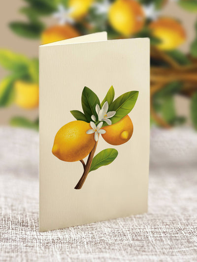 Lemon Blossom Tree Pop - up Greeting Card - Lemon And Lavender Toronto