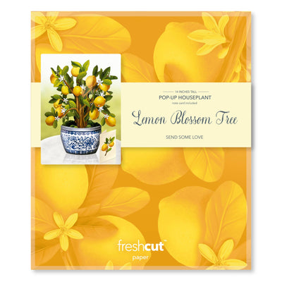 Lemon Blossom Tree Pop - up Greeting Card - Lemon And Lavender Toronto