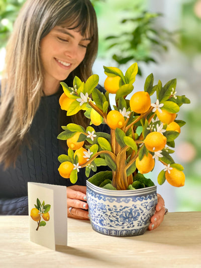 Lemon Blossom Tree Pop - up Greeting Card - Lemon And Lavender Toronto