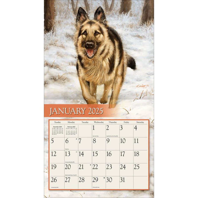 Love Of Dogs Wall Calendar 2025 - Lemon And Lavender Toronto