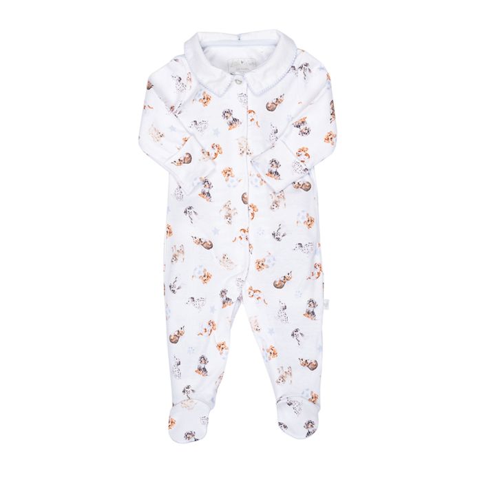 Little Paws Printed Sleepsuit