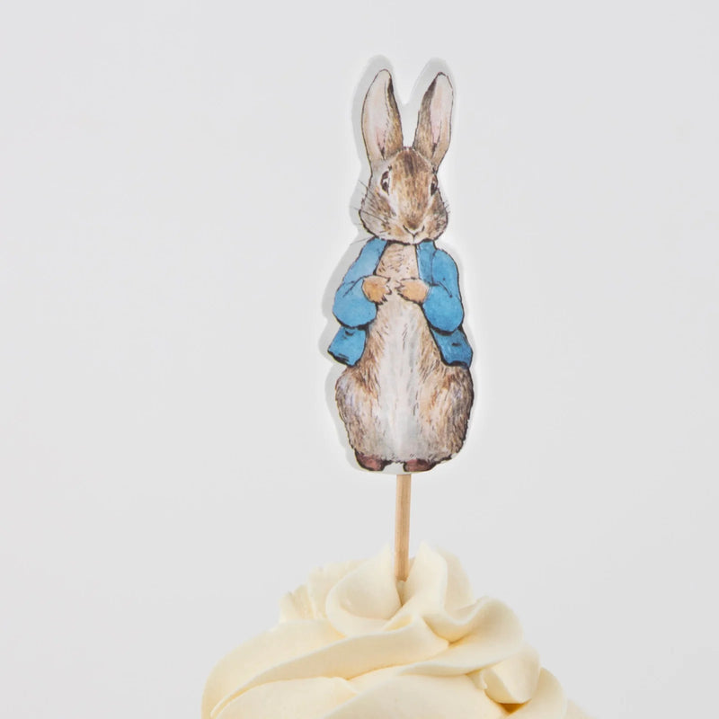 Peter Rabbit & Friends Party Picks|Meri Meri