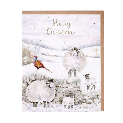 'Merry Christmas to Ewe' Sheep Christmas Card Pack - Lemon And Lavender Toronto