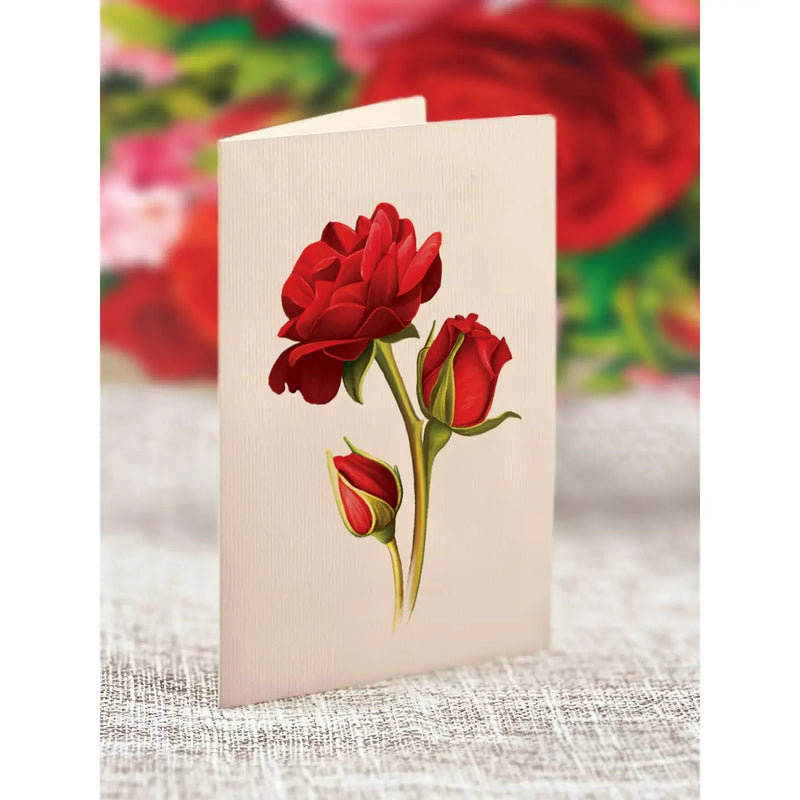 Mini Blooming Roses Pop - up Greeting Card - Lemon And Lavender Toronto