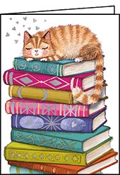 Mini Enclosure - Cat sleeping on Books - Lemon And Lavender Toronto