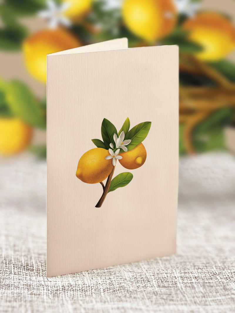 Mini Lemon Blossom Tree Pop - up Greeting Card - Lemon And Lavender Toronto