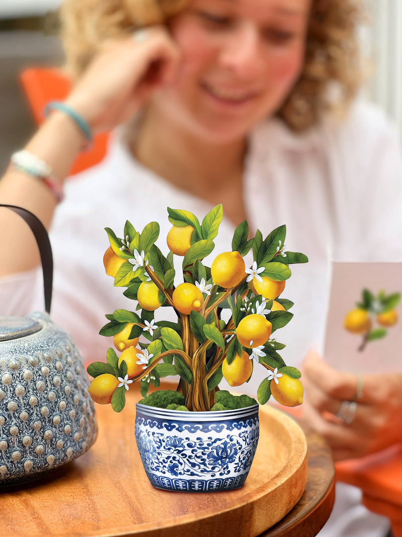 Mini Lemon Blossom Tree Pop - up Greeting Card - Lemon And Lavender Toronto