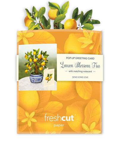 Mini Lemon Blossom Tree Pop - up Greeting Card - Lemon And Lavender Toronto