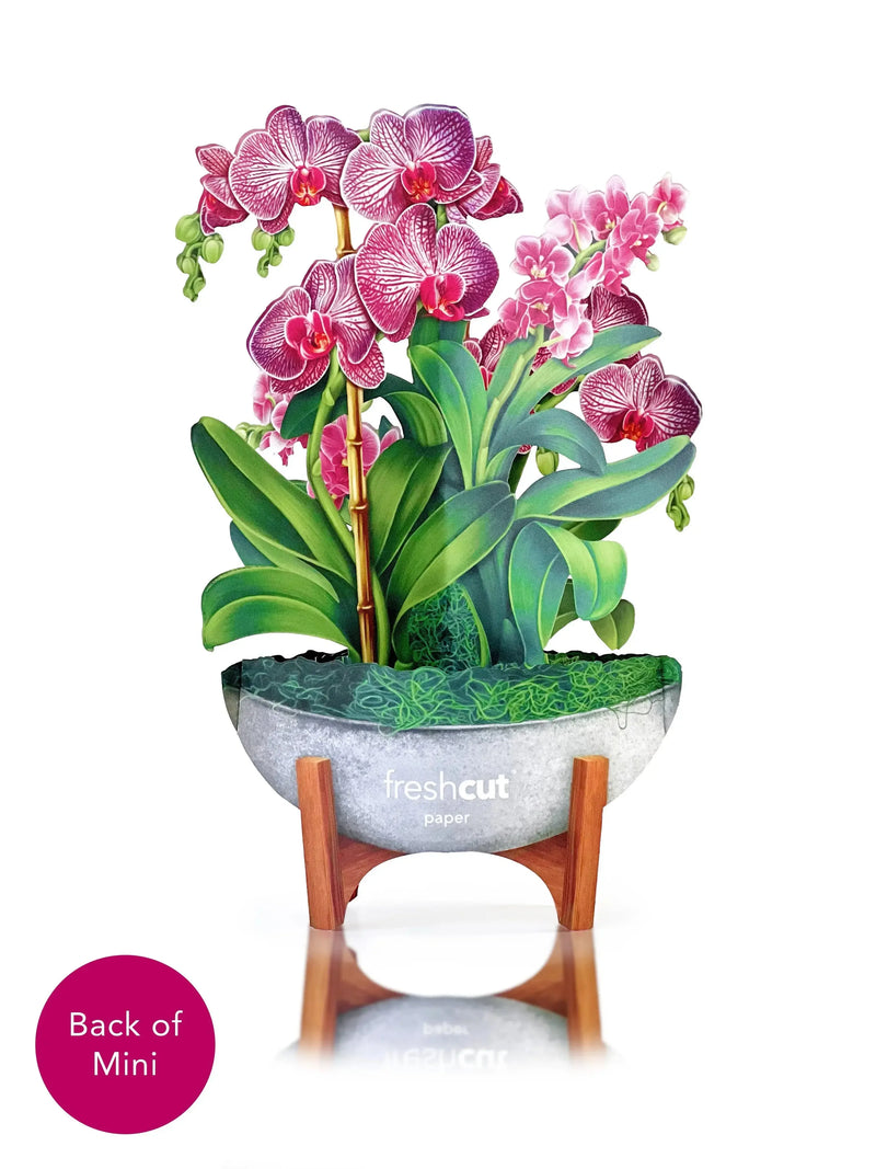 Mini Orchid Oasis Pop-Up Greeting Card
