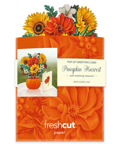 Mini Pumpkin Harvest Pop - up Greeting Card - Lemon And Lavender Toronto