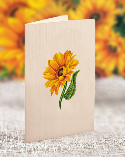 Mini Sunflowers Pop - up Greeting Card - Lemon And Lavender Toronto