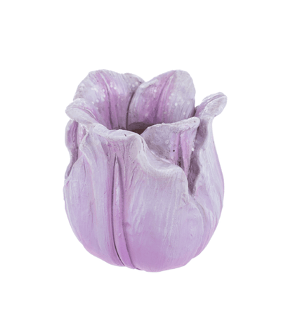 Mini Tulip Planter - Lemon And Lavender Toronto