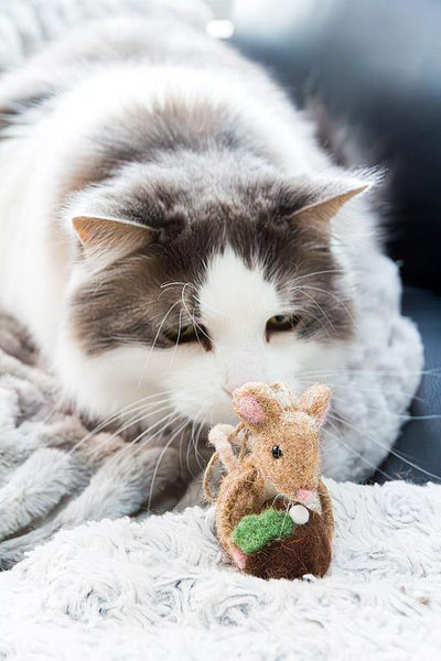 Mouse with Christmas Pudding Ornament - Lemon And Lavender Toronto