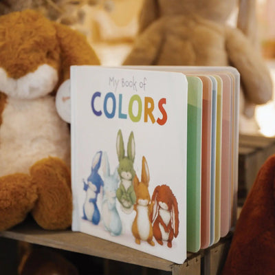 My Book of Colors - Board Book - Lemon And Lavender Toronto