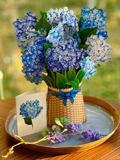 Nantucket Hydrangeas Pop - up Greeting Card - Lemon And Lavender Toronto